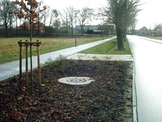 Entry 27 Image 3