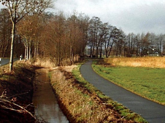 Entry 30 Image 2