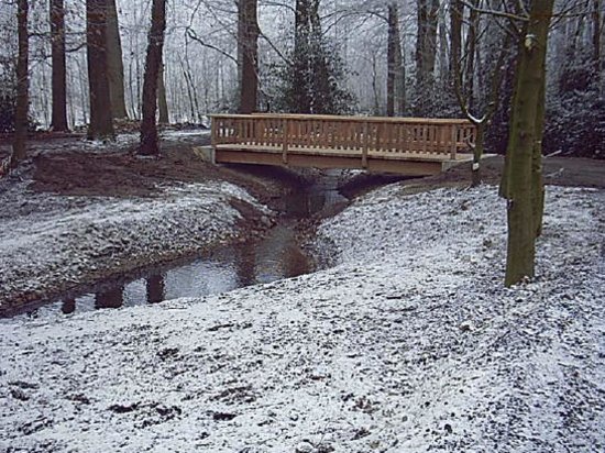 Entry 31 Image 2