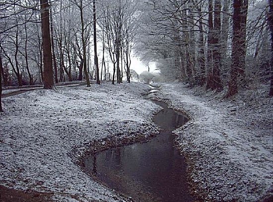 Entry 31 Image 3