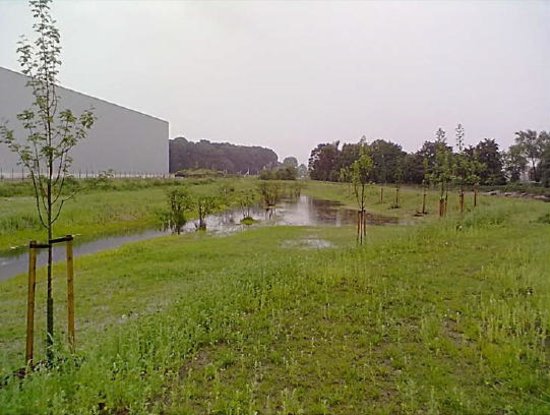 Entry 31 Image 4