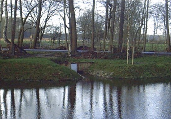 Entry 32 Image 2