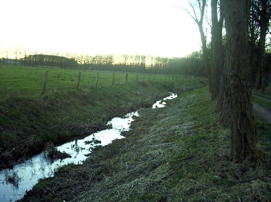 Entry 34 Image 2