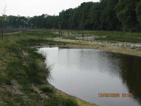 Entry 34 Image 4